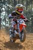 Reddick_roadanddirt63