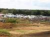 7gold087.jpg